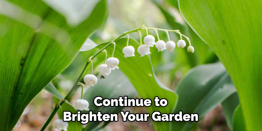 Continue to
Brighten Your Garden