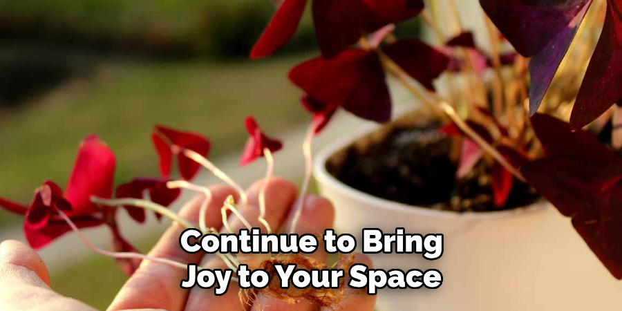 Continue to Bring
Joy to Your Space