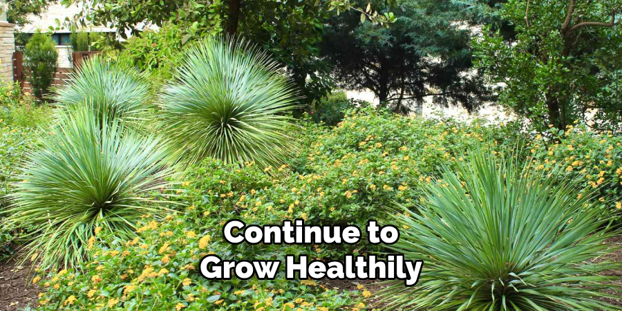 Continue to
Grow Healthily