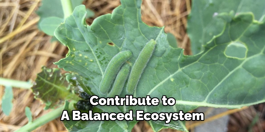 Contribute to
A Balanced Ecosystem