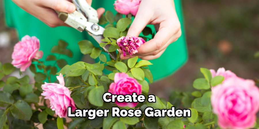 Create a
Larger Rose Garden