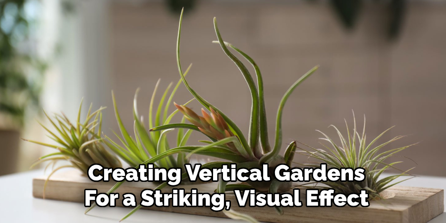 Creating Vertical Gardens
For a Striking, Visual Effect