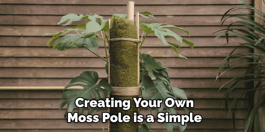 Creating Your Own
Moss Pole is a Simple