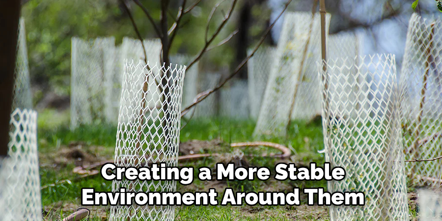 Creating a More Stable
Environment Around Them