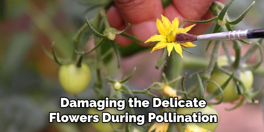 Damaging the Delicate
Flowers During Pollination