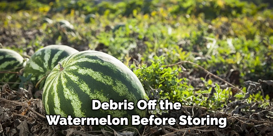 Debris Off the
Watermelon Before Storing