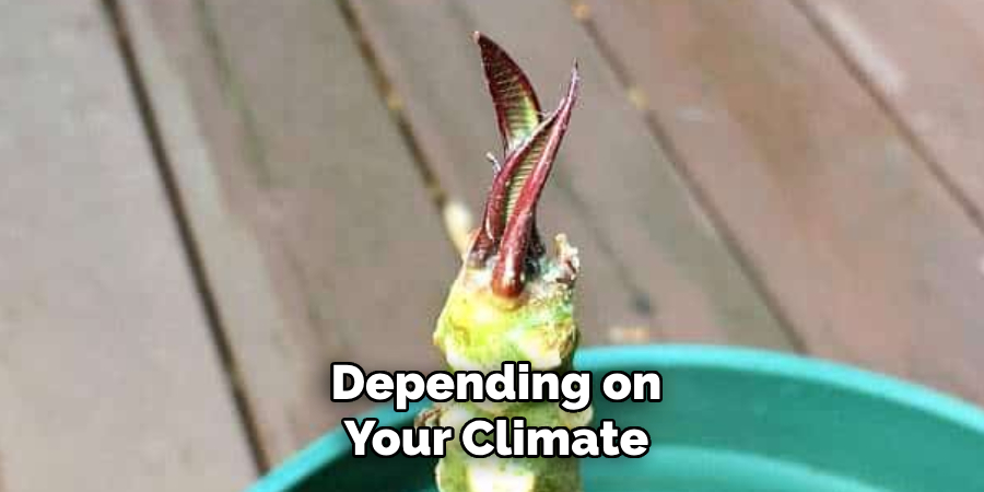 Depending on
Your Climate