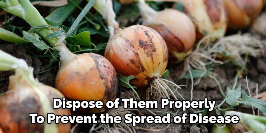 Dispose of Them Properly
To Prevent the Spread of Disease