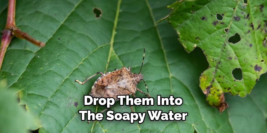 Drop Them Into
The Soapy Water