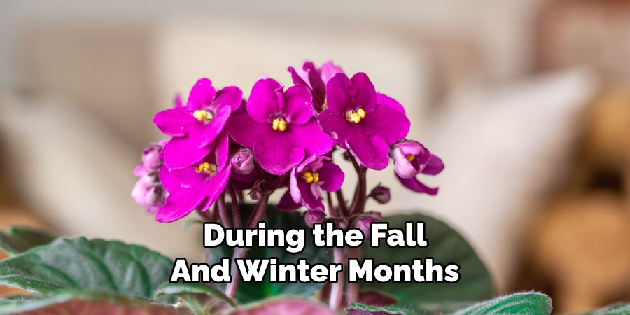 During the Fall
And Winter Months