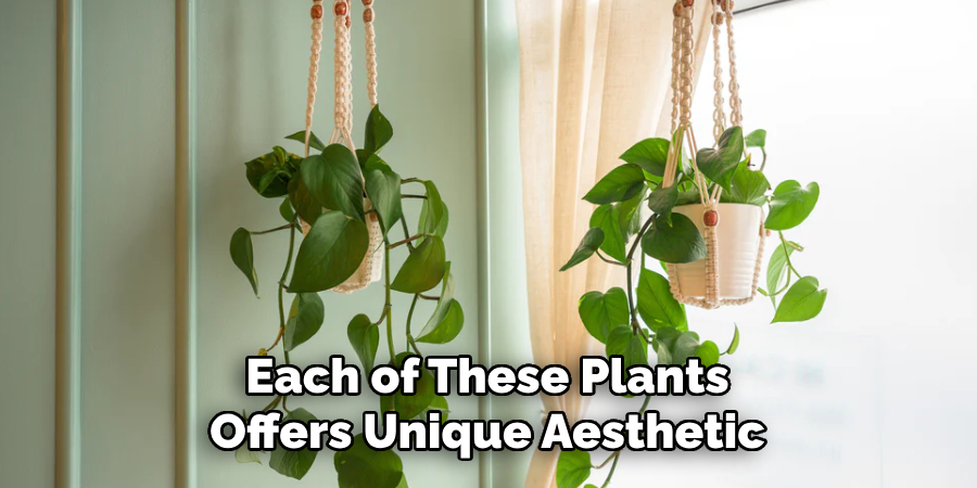Each of These Plants
Offers Unique Aesthetic