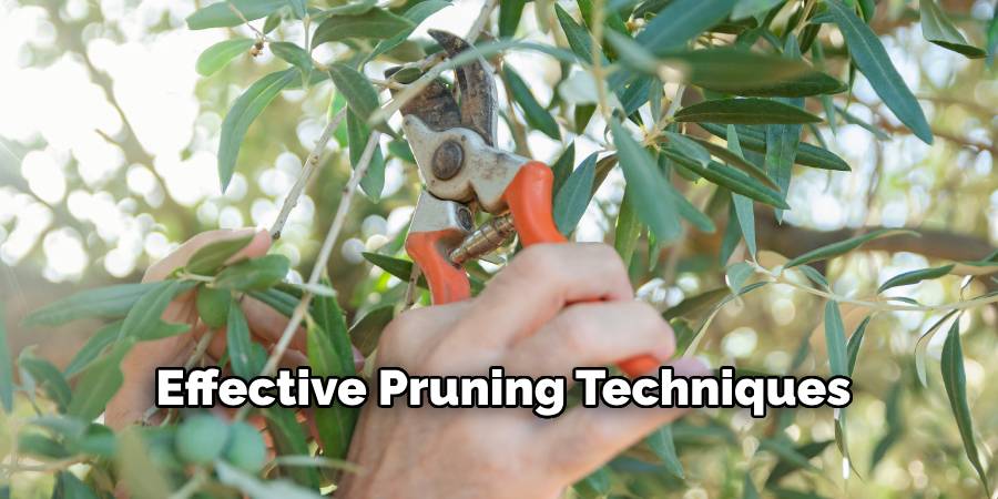Effective Pruning Techniques