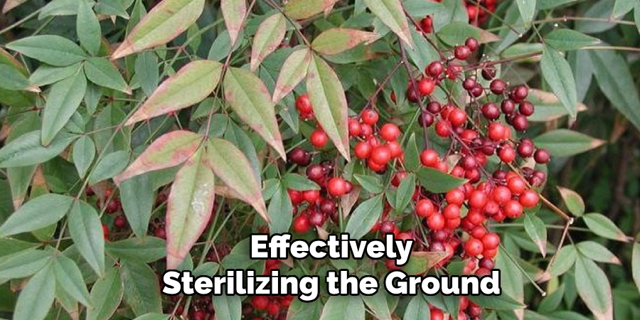 Effectively
Sterilizing the Ground
