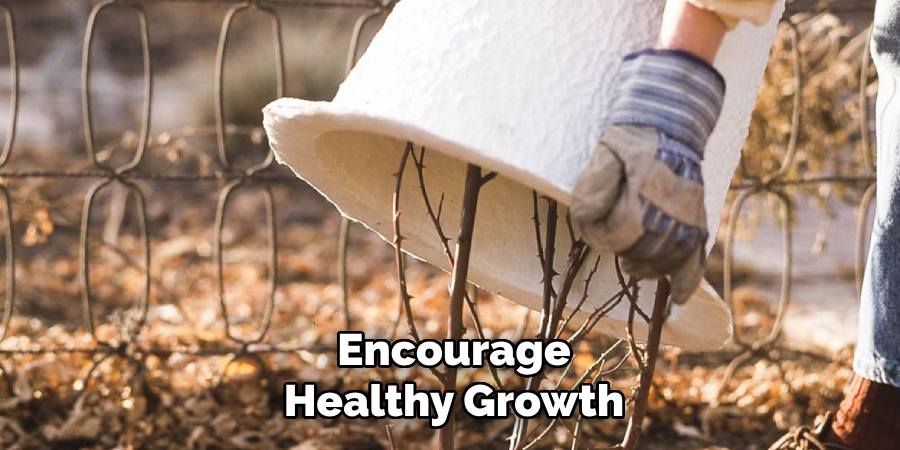 Encourage
Healthy Growth