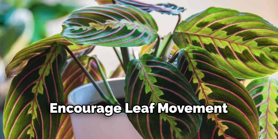Encourage Leaf Movement