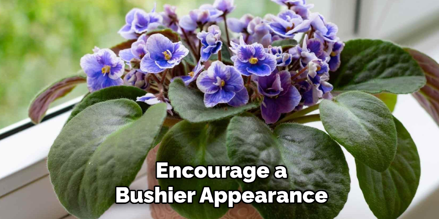 Encourage a
Bushier Appearance
