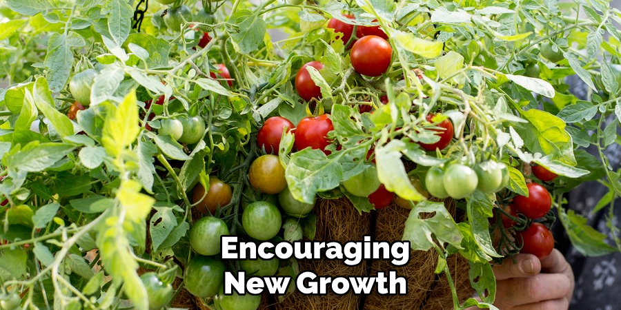 Encouraging
New Growth