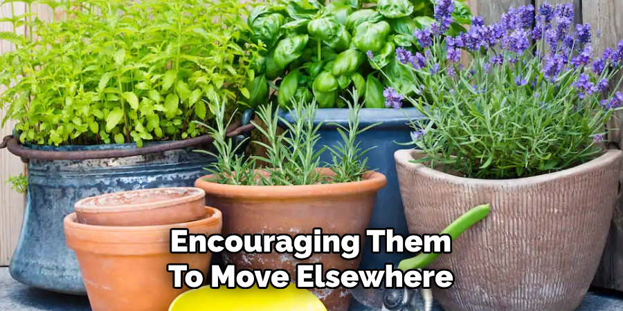 Encouraging Them
To Move Elsewhere