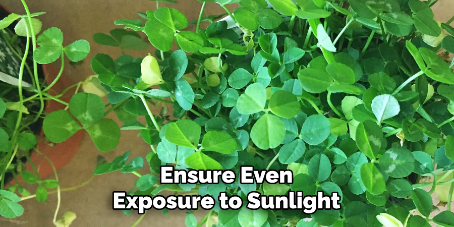 Ensure Even
Exposure to Sunlight