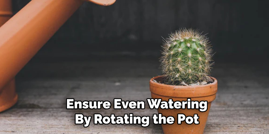 Ensure Even Watering
By Rotating the Pot