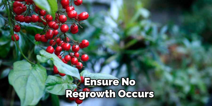 Ensure No
Regrowth Occurs