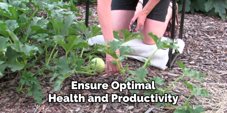 Ensure Optimal
Health and Productivity