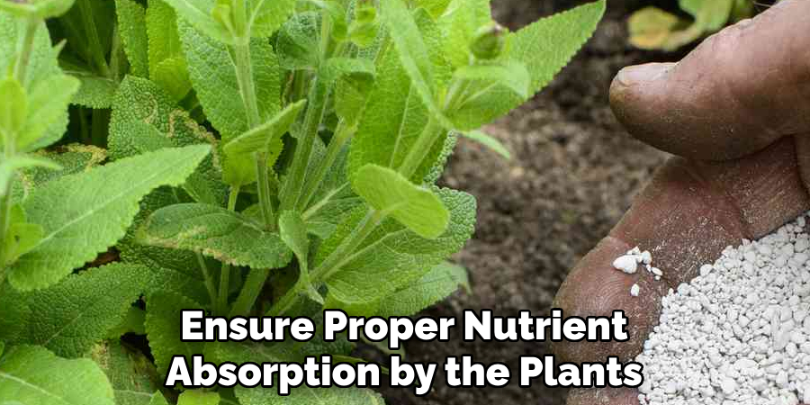 Ensure Proper Nutrient
Absorption by the Plants