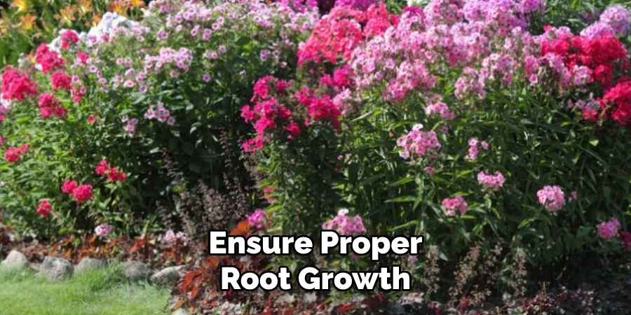 Ensure Proper
Root Growth