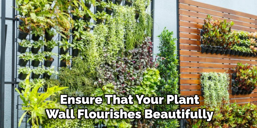 Ensure That Your Plant
Wall Flourishes Beautifully