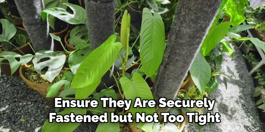 Ensure They Are Securely
Fastened but Not Too Tight