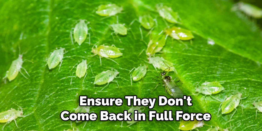 Ensure They Don't
Come Back in Full Force