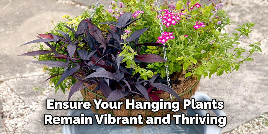 Ensure Your Hanging Plants
Remain Vibrant and Thriving