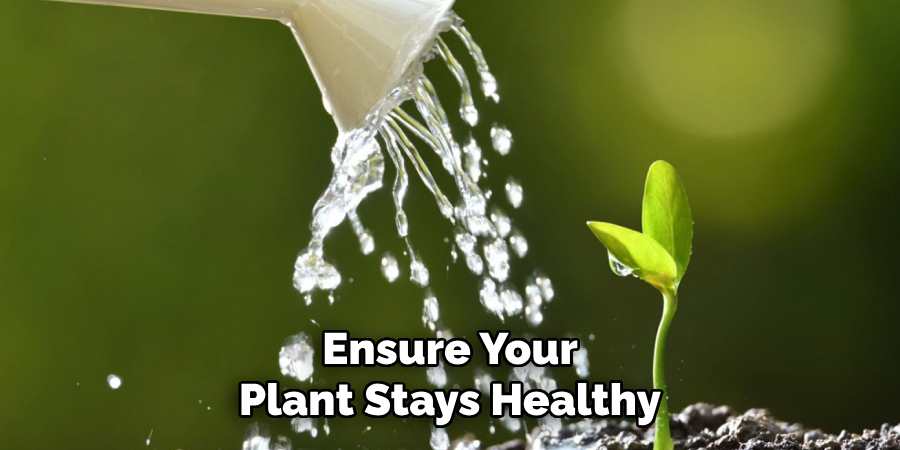 Ensure Your
Plant Stays Healthy