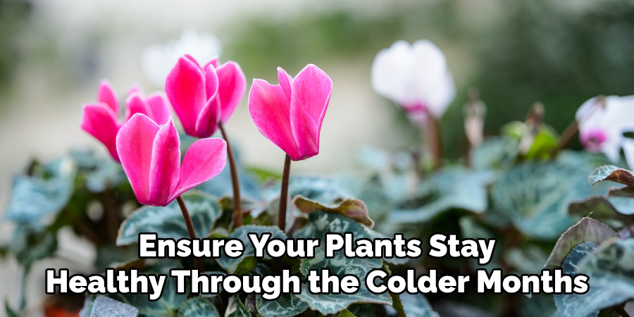 Ensure Your Plants Stay
Healthy Through the Colder Months