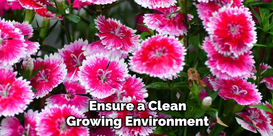 Ensure a Clean
Growing Environment