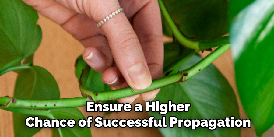 Ensure a Higher
Chance of Successful Propagation