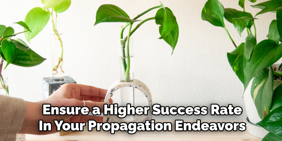 Ensure a Higher Success Rate
In Your Propagation Endeavors