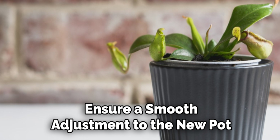 Ensure a Smooth
Adjustment to the New Pot