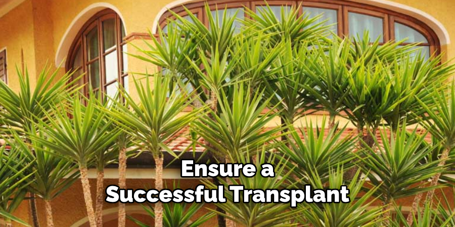 Ensure a
Successful Transplant
