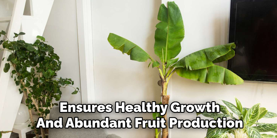 Ensures Healthy Growth
And Abundant Fruit Production