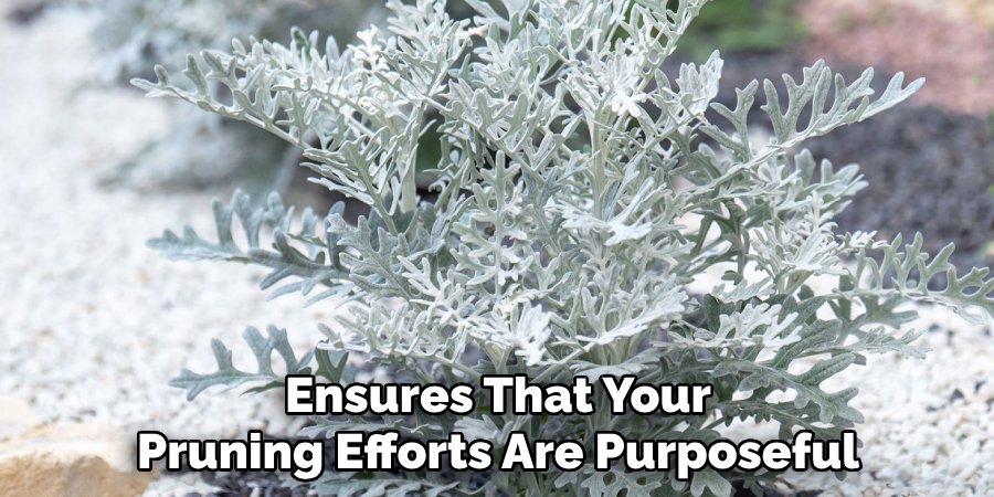 Ensures That Your
Pruning Efforts Are Purposeful