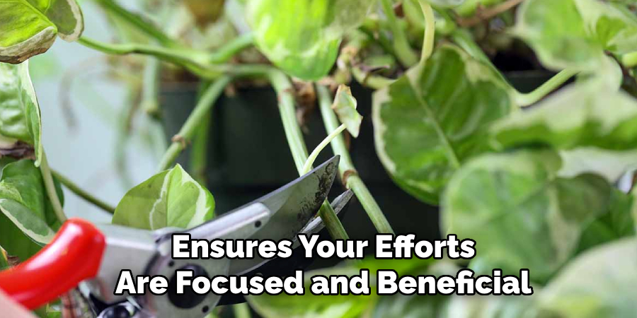 Ensures Your Efforts
Are Focused and Beneficial