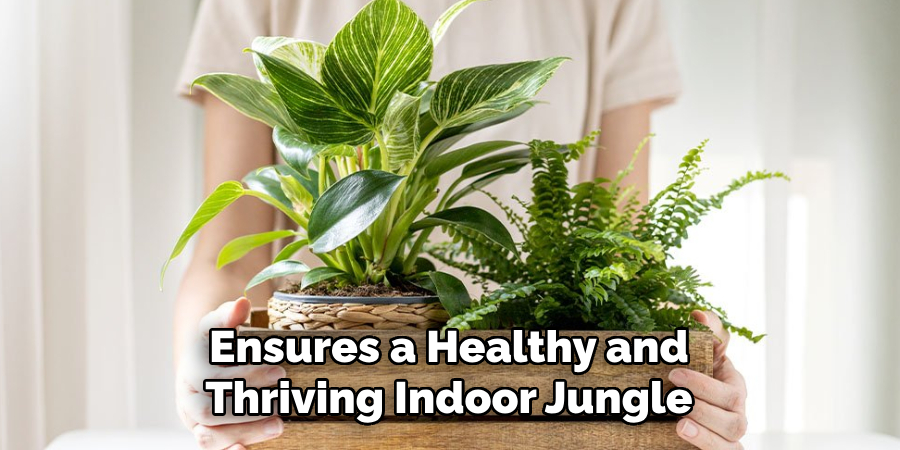 Ensures a Healthy and
Thriving Indoor Jungle