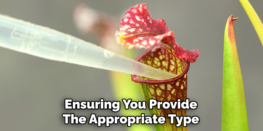 Ensuring You Provide
The Appropriate Type