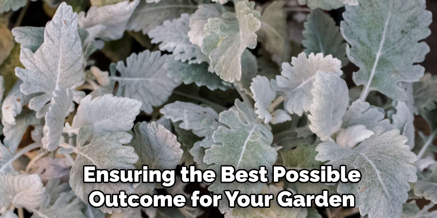 Ensuring the Best Possible
Outcome for Your Garden