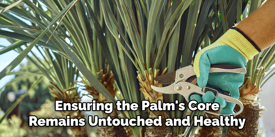 Ensuring the Palm's Core
Remains Untouched and Healthy