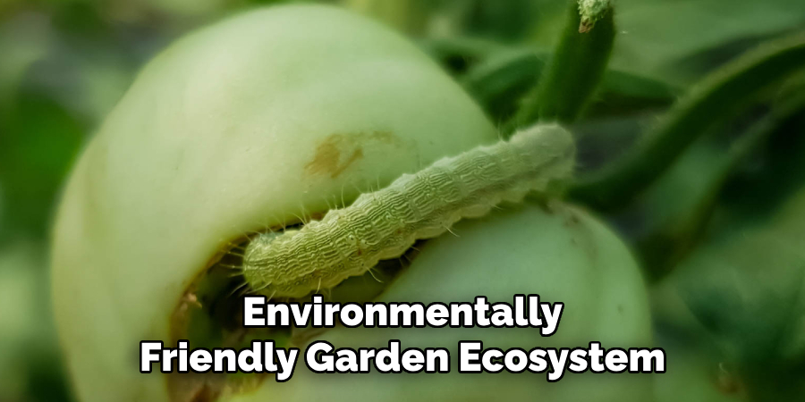 Environmentally
Friendly Garden Ecosystem