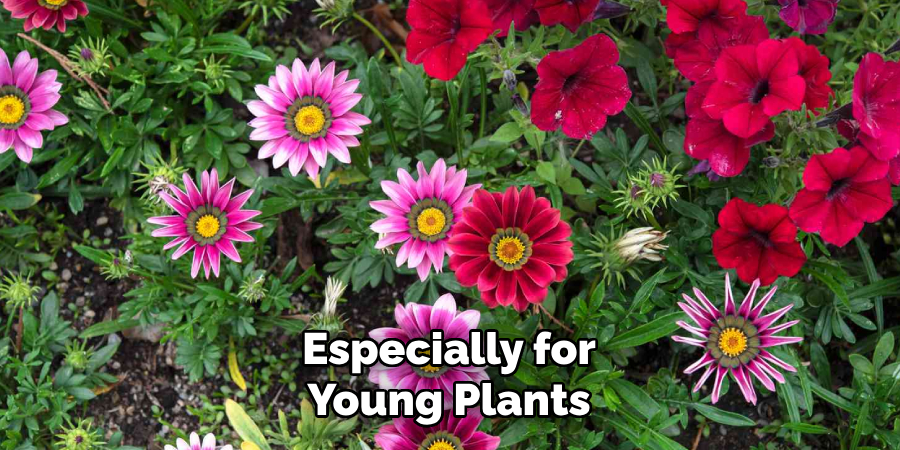 Especially for
Young Plants