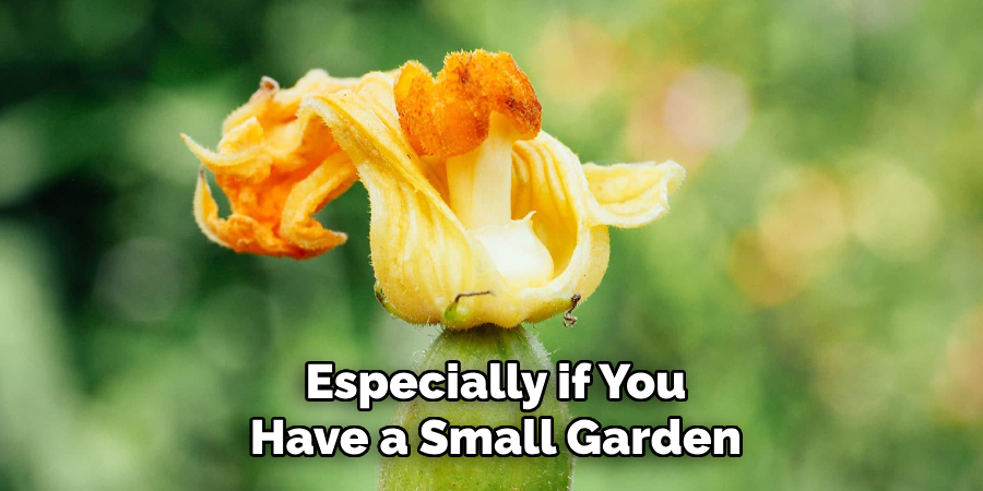 Especially if You
Have a Small Garden