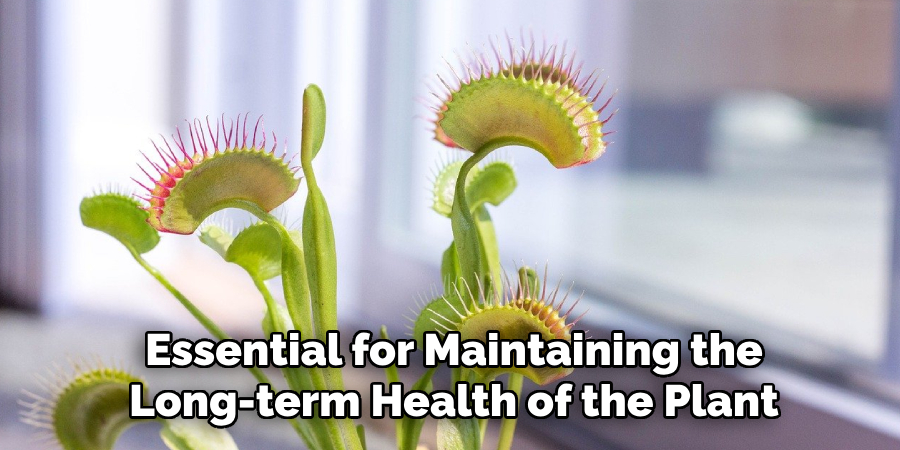 Essential for Maintaining the
Long-term Health of the Plant